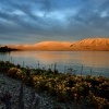 NZ Tekapo lake 0999